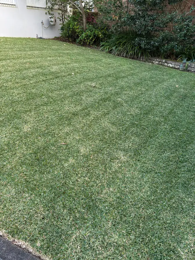 Freshly mowed striped lawn